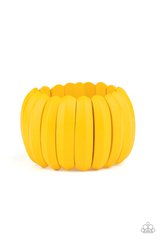 Paparazzi Accessories - Colorfully Congo - Black
